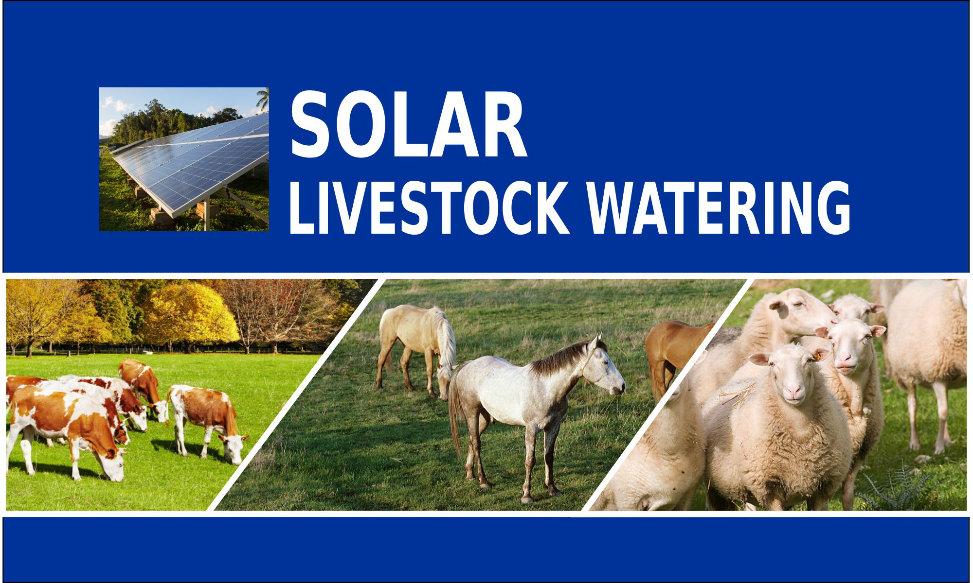 Solar Livestock Watering